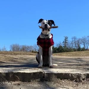 Meet your Posher, Ellen